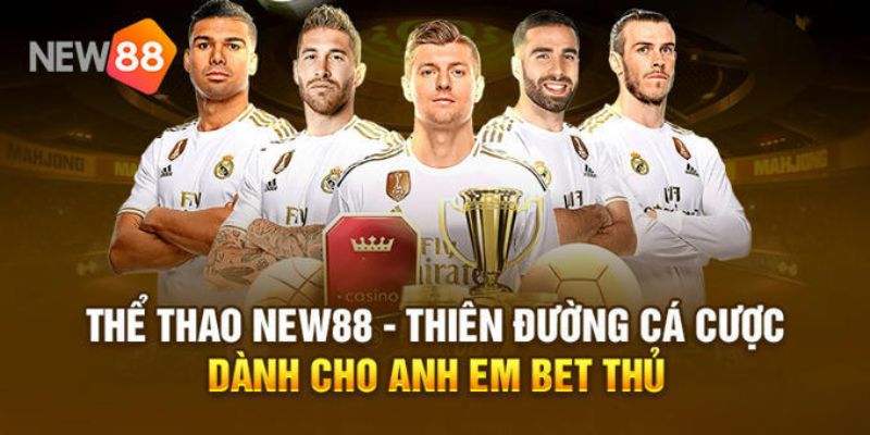 Thể Thao - Danh mục sản phẩm hấp dẫn trên nền tảng uy tín