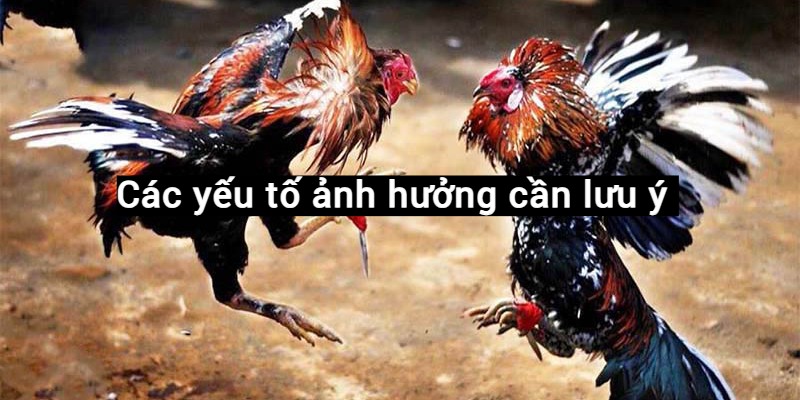 Các yếu tố ảnh hưởng cần lưu ý