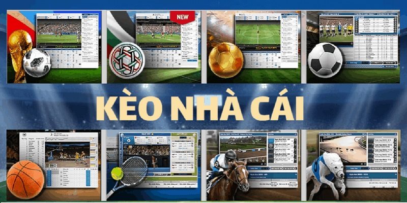 Bí quyết chơi kèo chấp 0.5 cực hiệu quả
