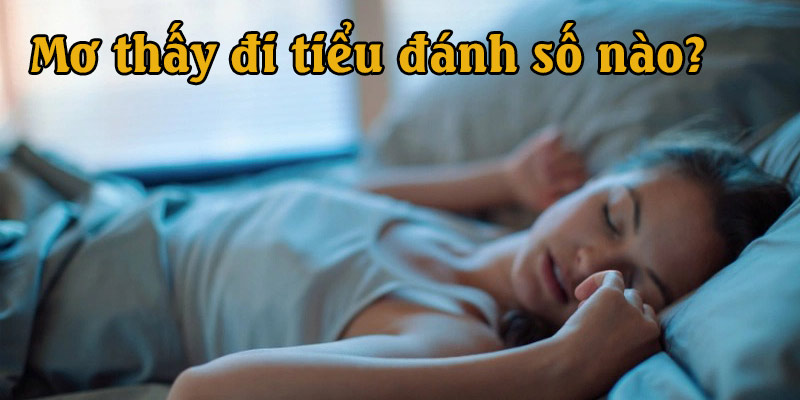 Ngủ mơ thấy đi tiểu và những con số may mắn nhất