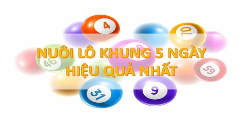 Cách nuôi dàn lô 40 số tăng cơ hội trúng giải nuôi khung 5 ngày