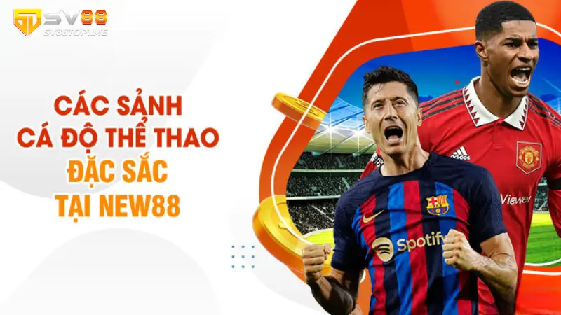 Điểm danh các sảnh cá độ thể thao đặc sắc tại Sv88